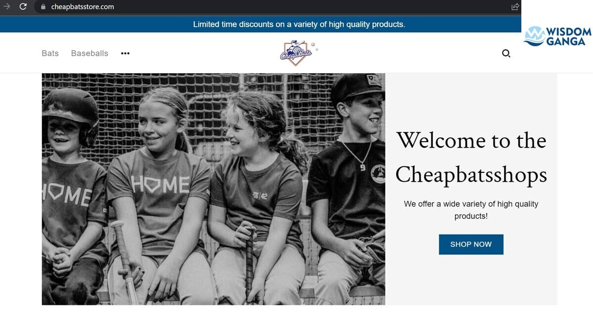 Cheapbatsstore Image