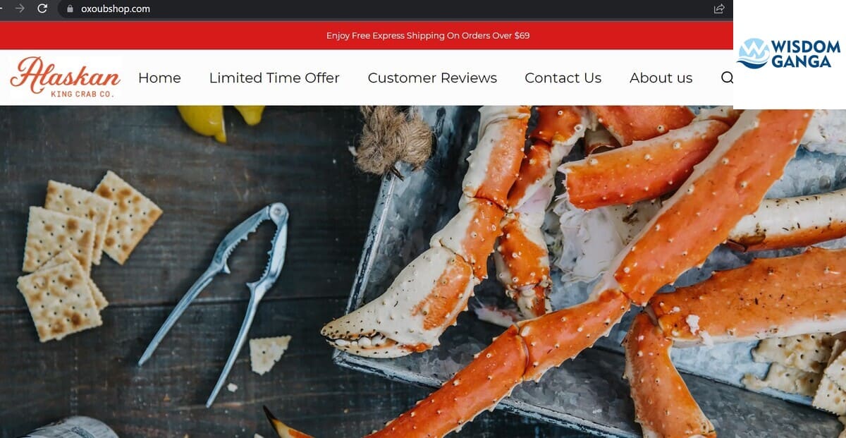 Oxoubshop Image