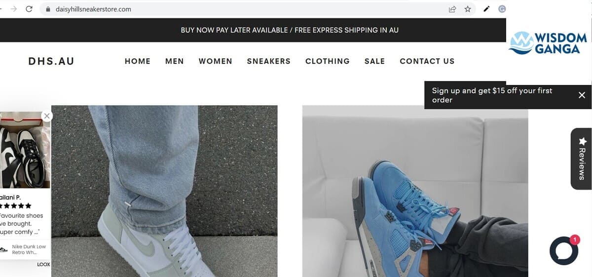 Daisyhillsneakerstore image