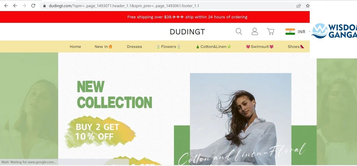 dudingt image