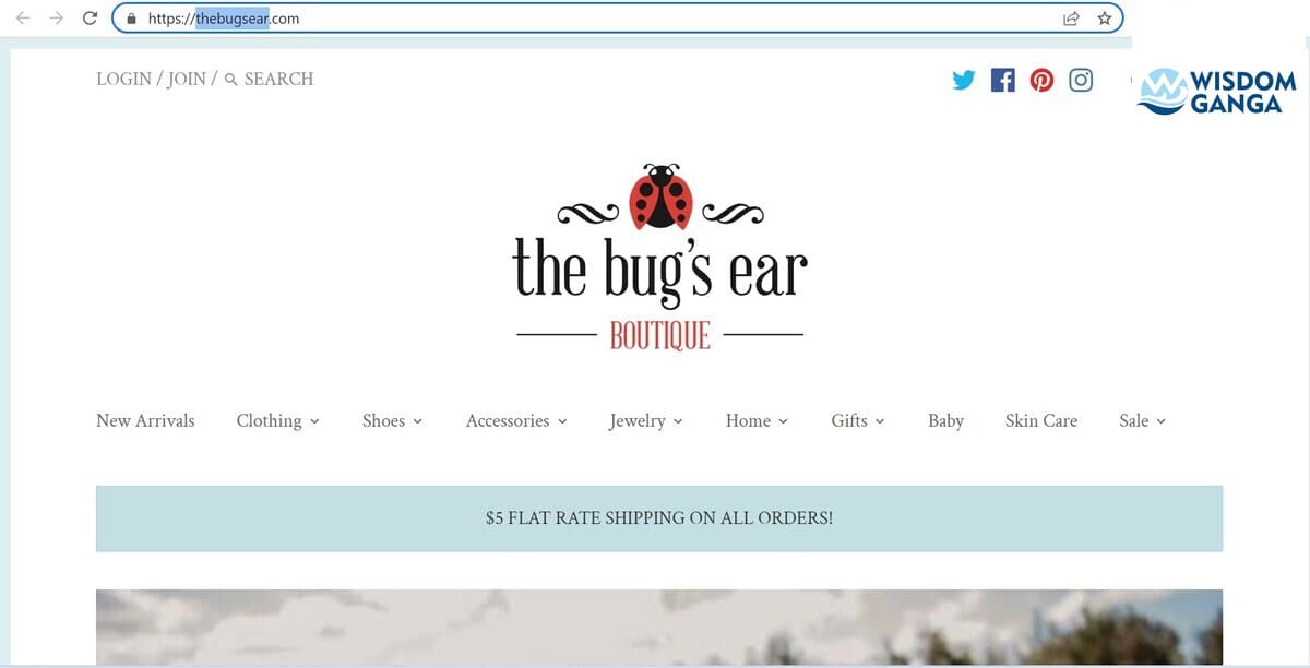 thebugsear image