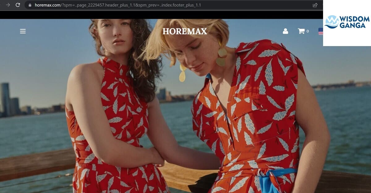 Horemax Image