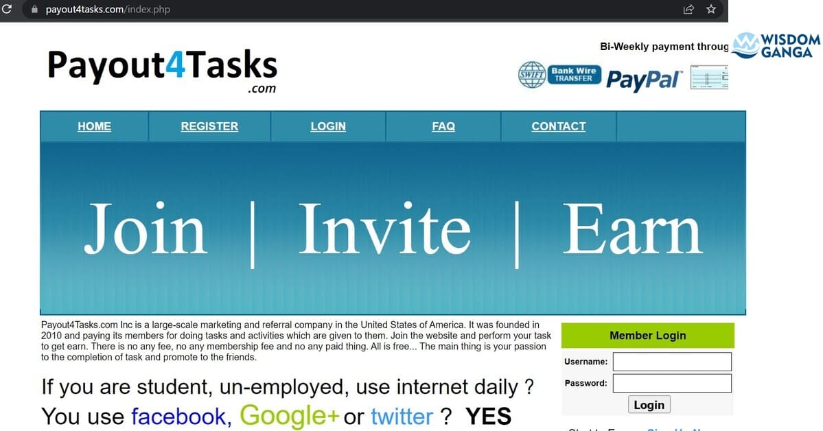 Payout4tasks Image