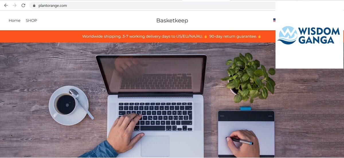 plantorange image