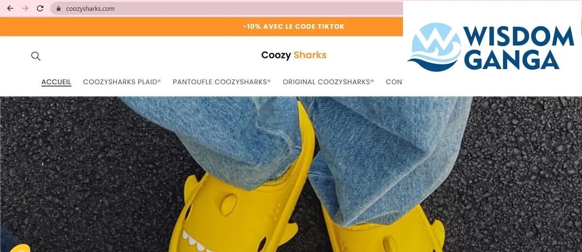 coozysharks image