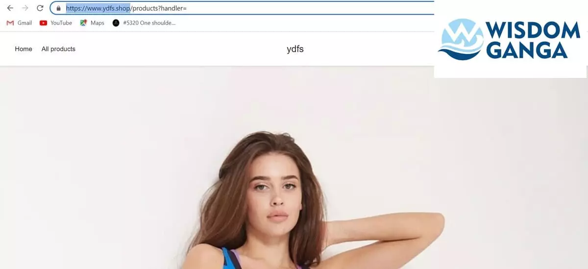 ydfs image