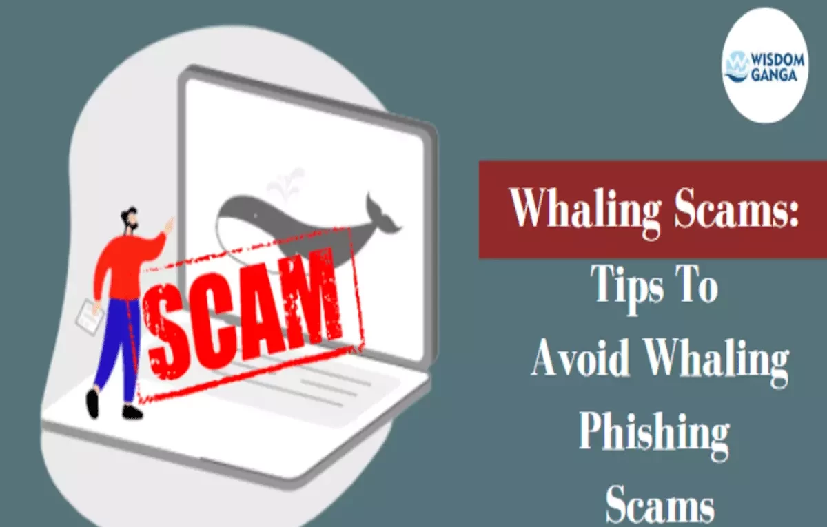 Whaling Scam image