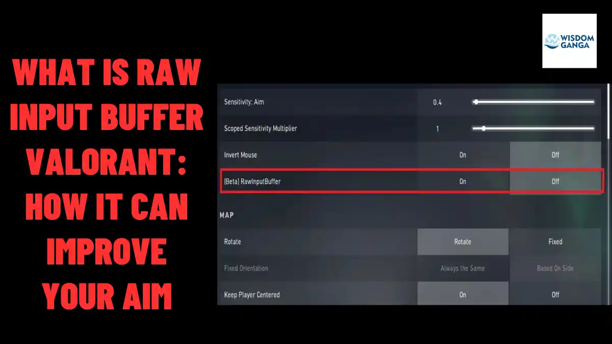 Raw Input Buffer Valorant