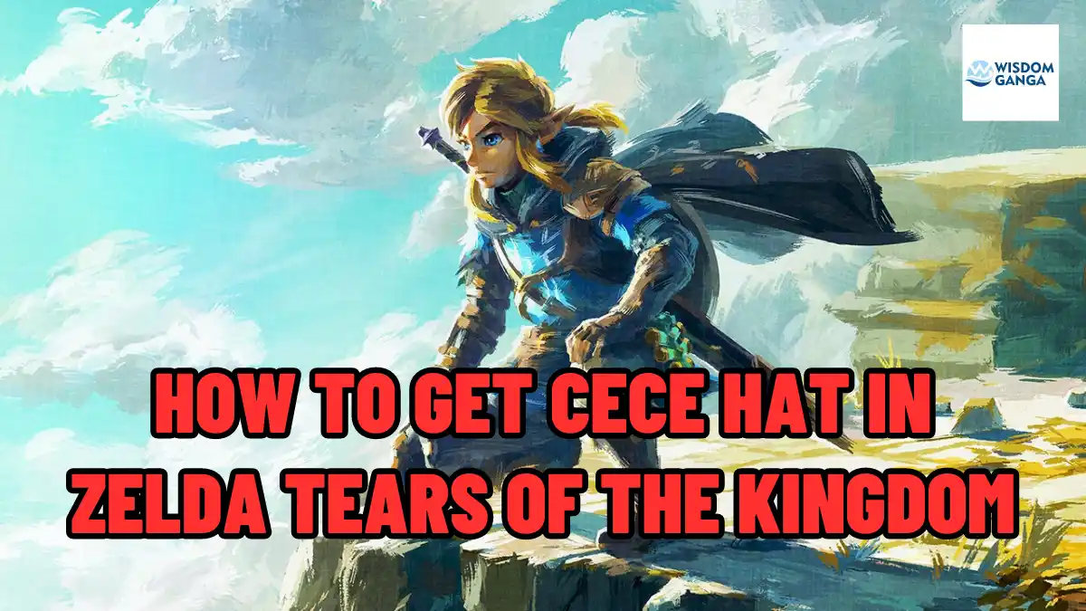 Cece Hat In Zelda Tears Of The Kingdom