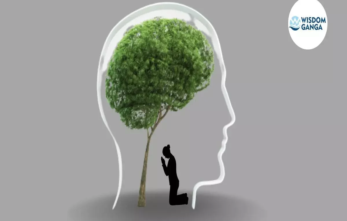 Wishing Tree Image