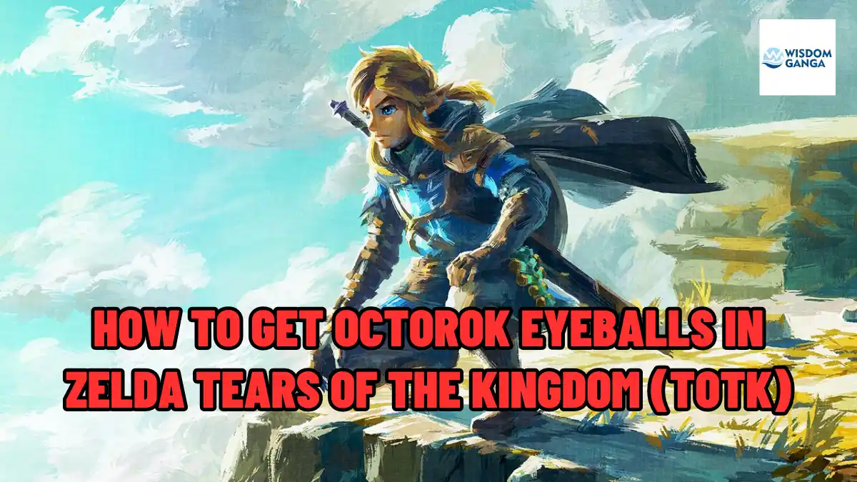 How To Get Octorok Eyeballs In Zelda Tears Of The Kingdom