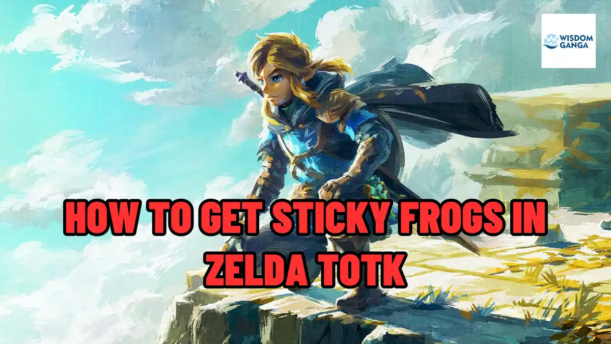 How To Get Sticky Frogs In Zelda TOTK