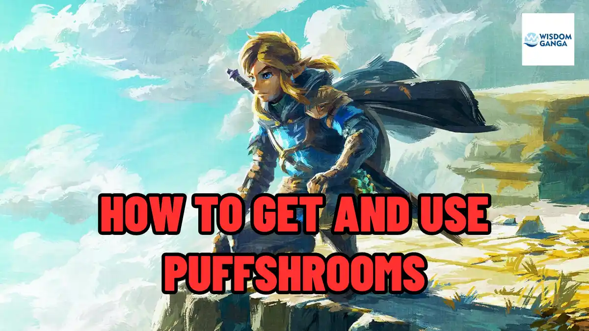 Puffshrooms In Zelda TOTK