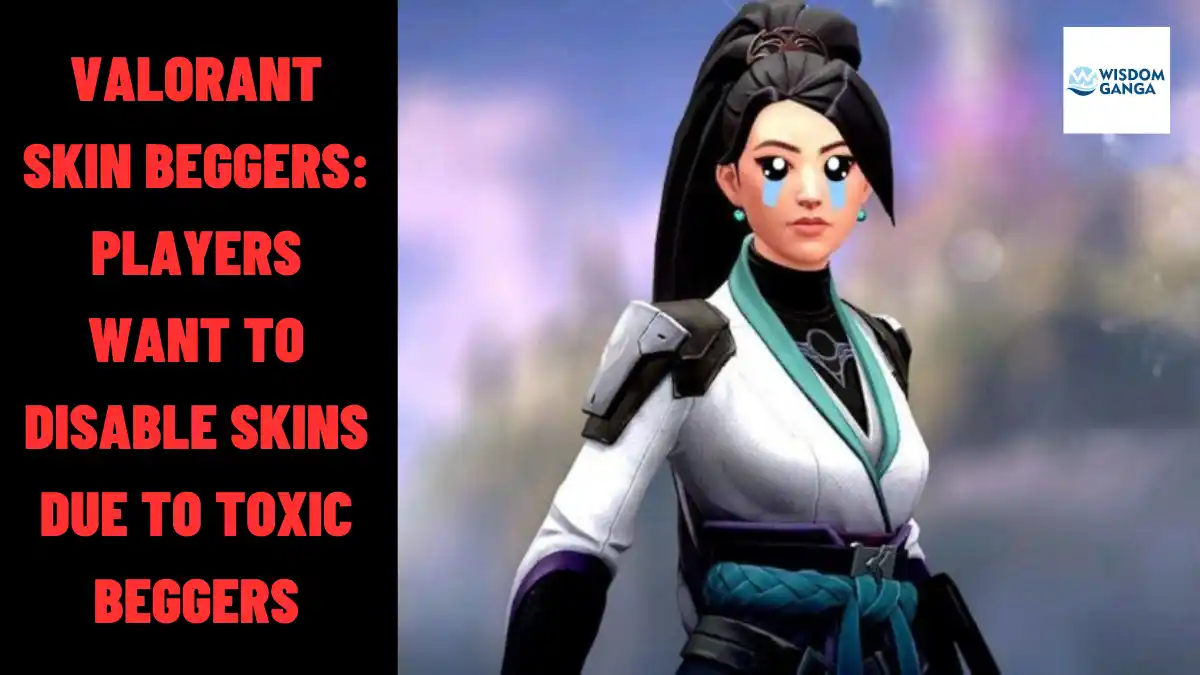 Valorant Skin Beggers