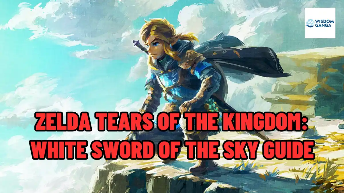 Zelda Tears Of The Kingdom White Sword Of The Sky Guide