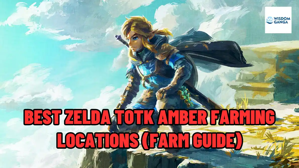 Amber Farming Locations