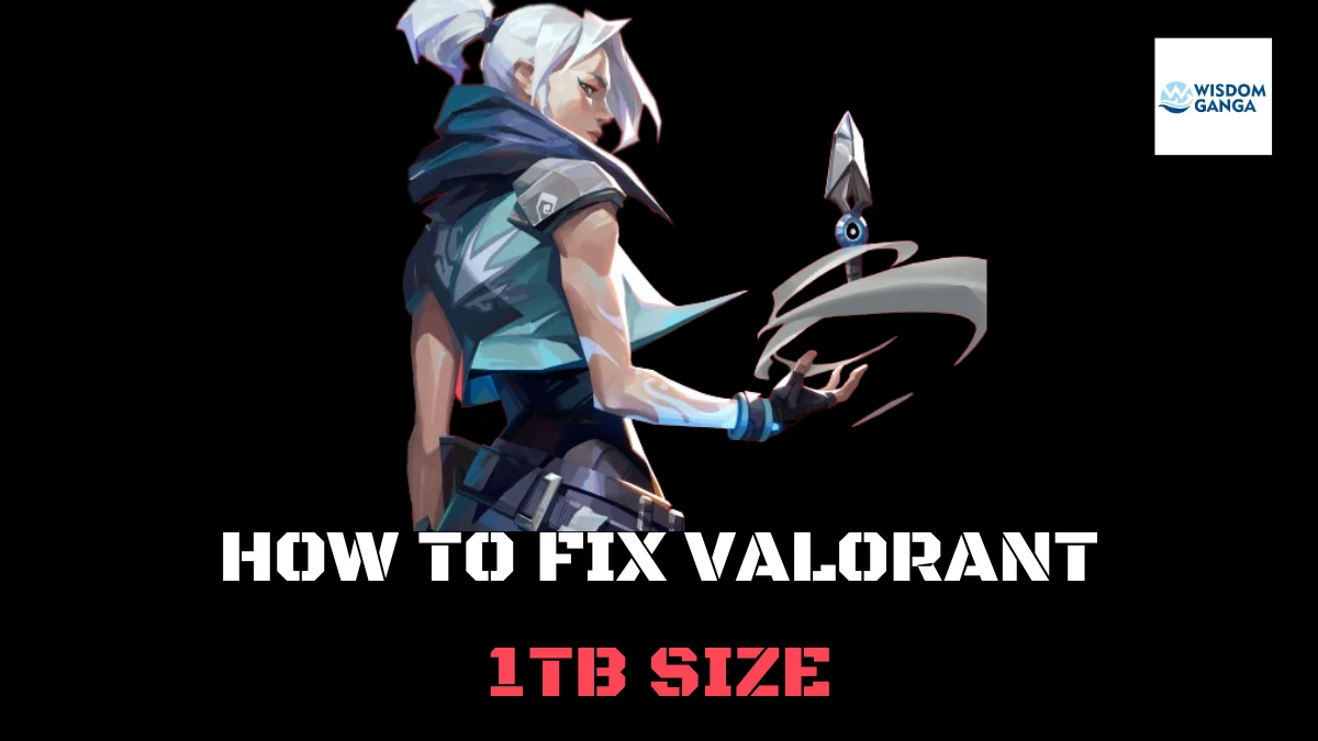 HOW TO FIX VALORANT 1TB SIZE