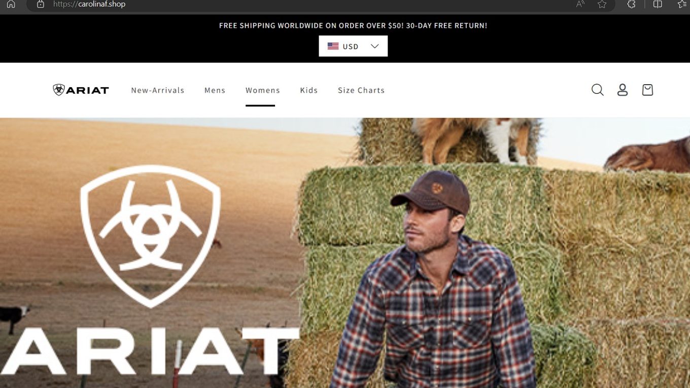 Ariat Image