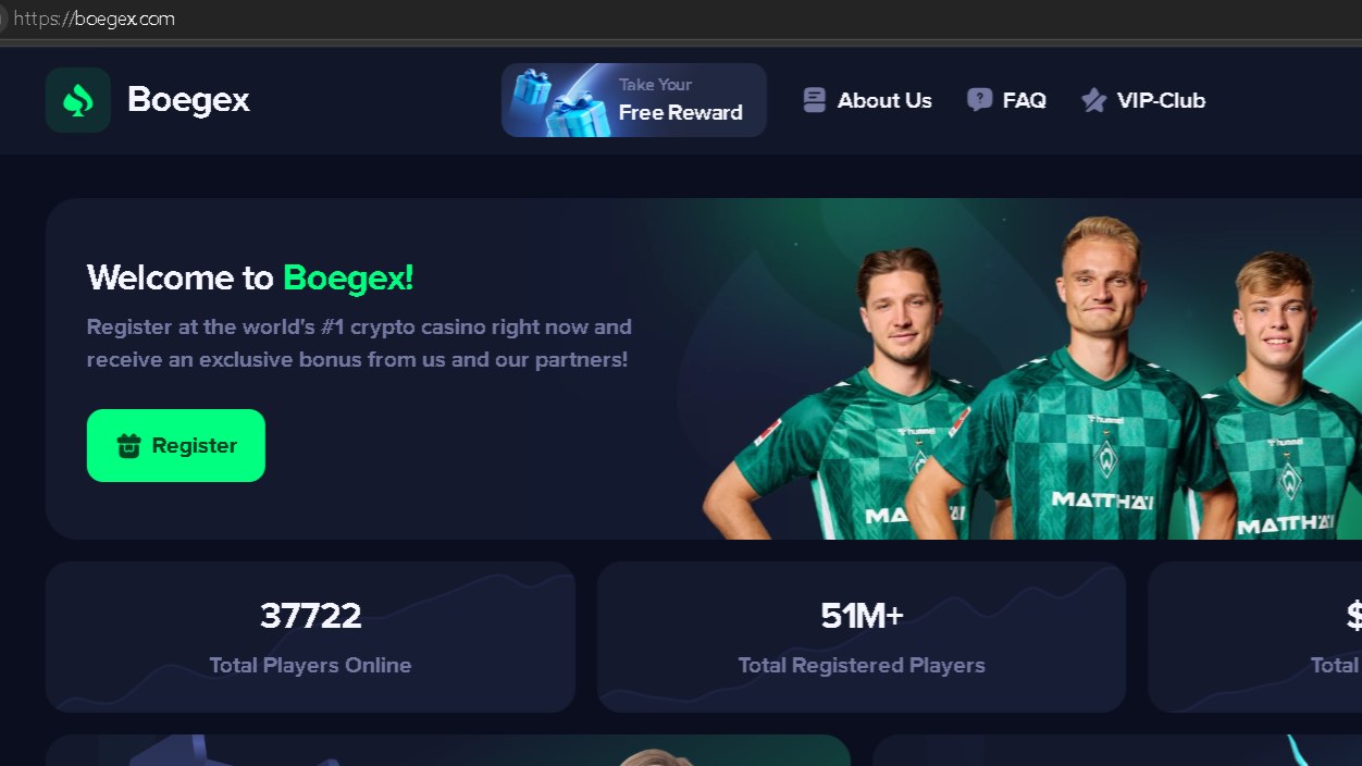 Boegex Scam