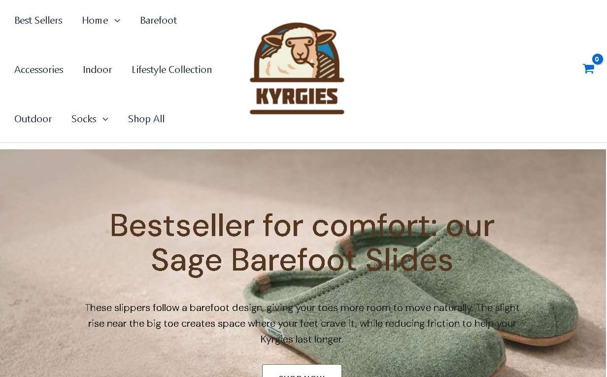 Kyrgieshop Scam