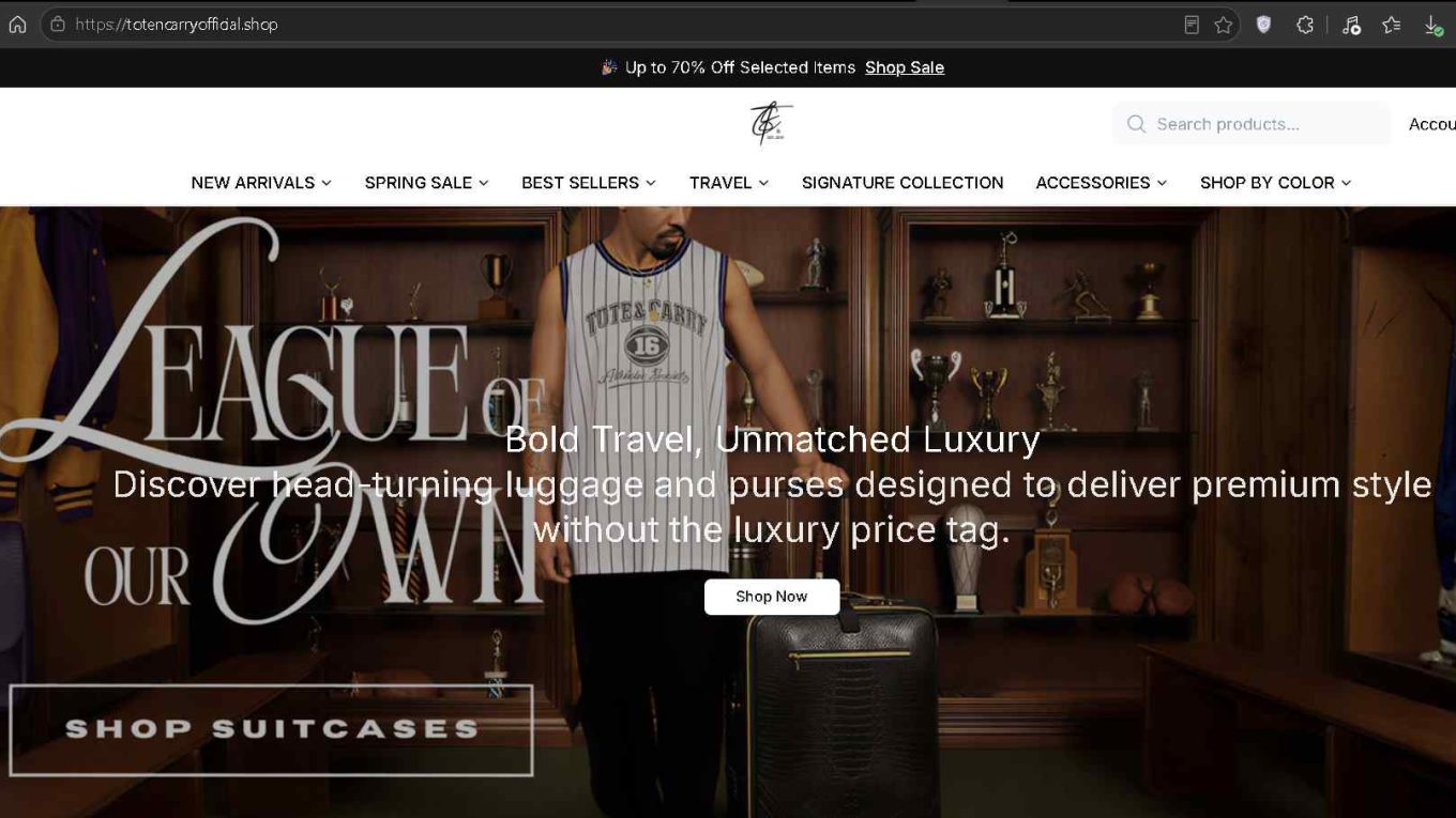 Totencarryofficial.shop Scam Screenshot