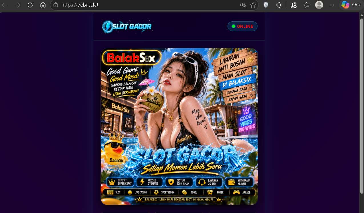Bobatt.lat Review