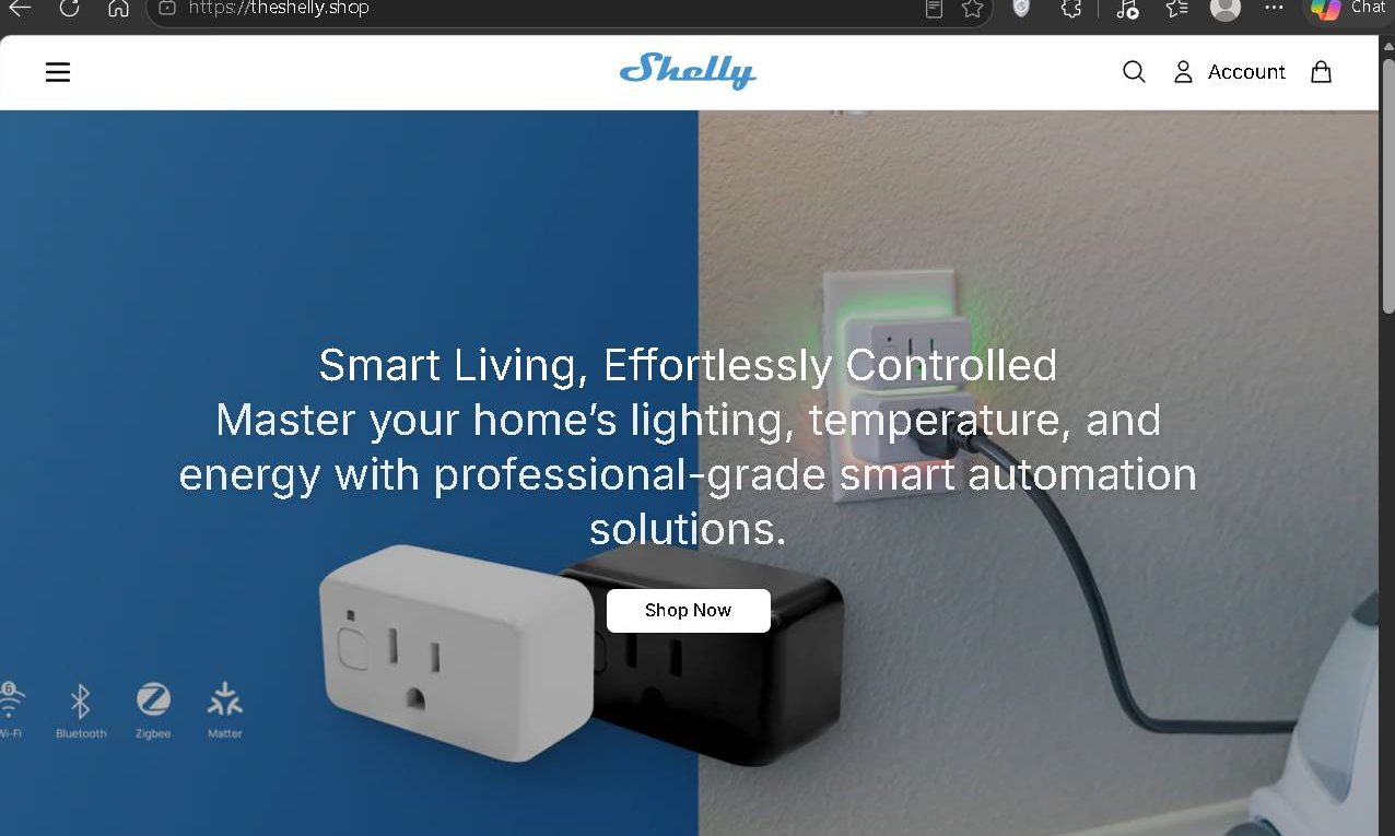Theshelly.shop Review